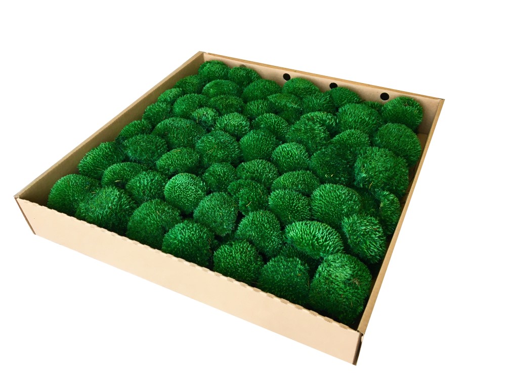 Premium Preserved Alpine Pillow/ Bun Moss Dark Green 0,6m2 XL Wholesale Box